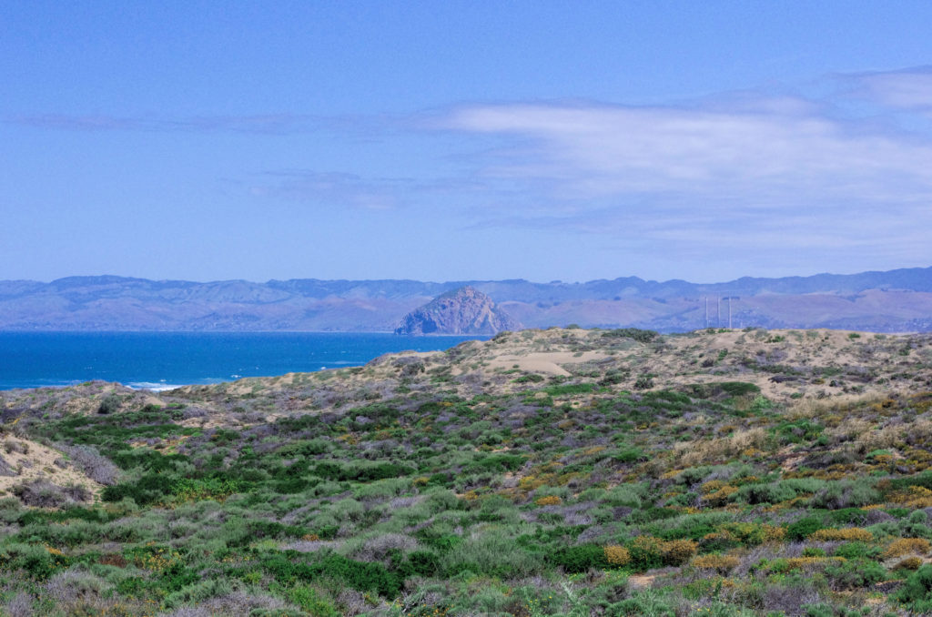 View of Morro Bay, CA